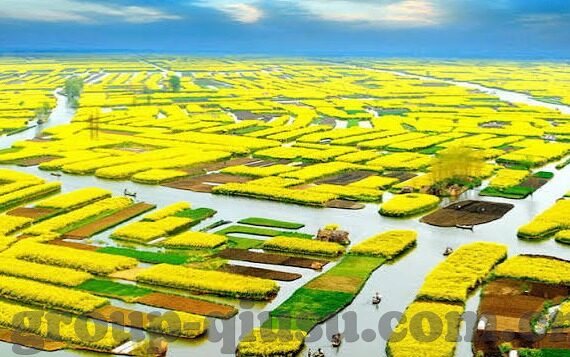 竞咪百家乐-竞咪百家乐，一场数字娱乐的革新